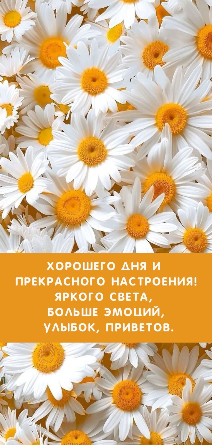 Хорошего дня и прекрасного настроения! Яркого света, больше эмоций