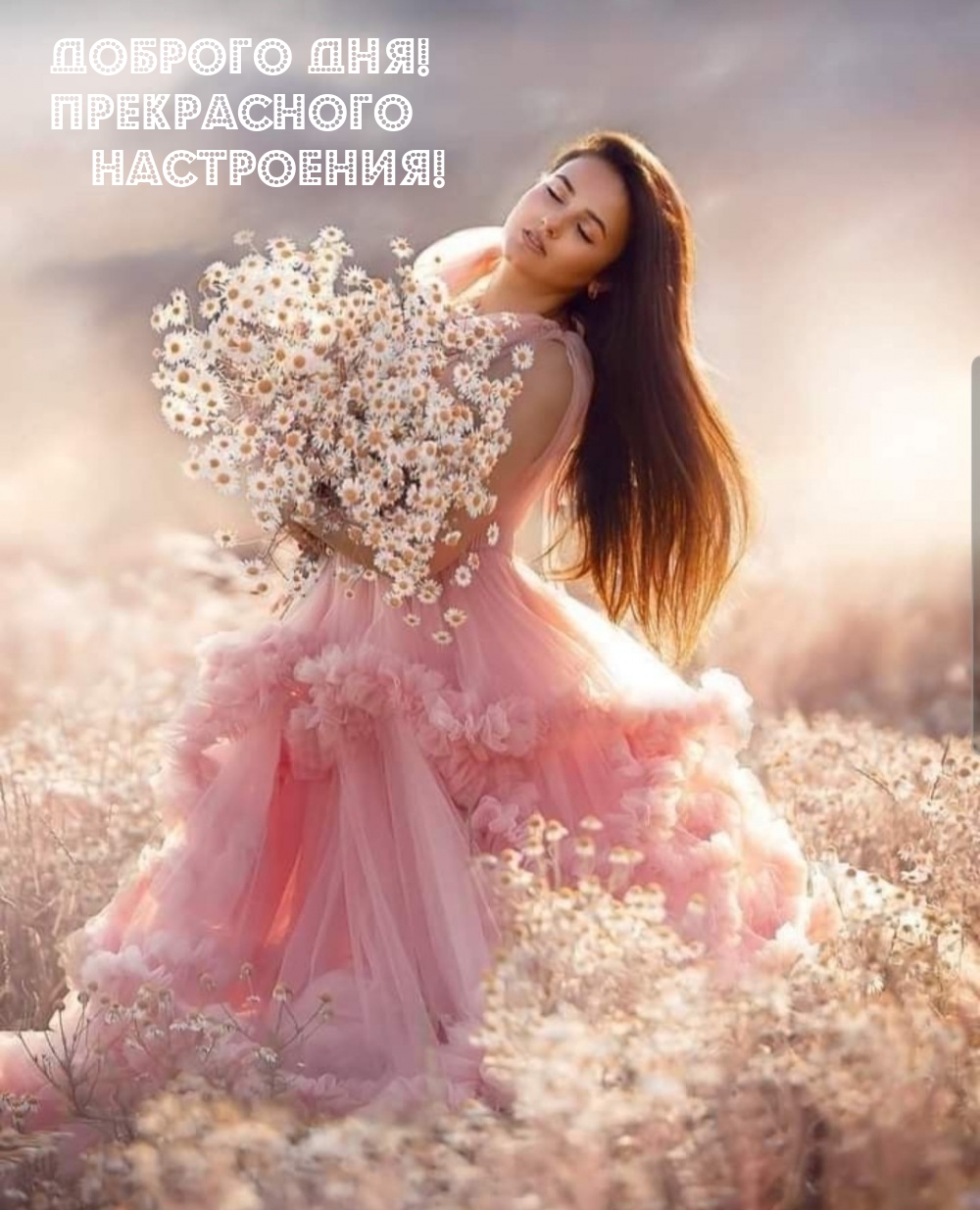 Доброго дня! Прекрасного настроения!