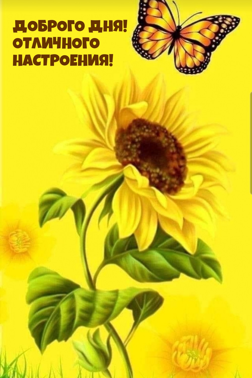 Доброго дня! Отличного настроения!