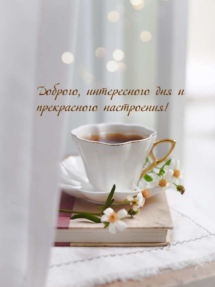 Доброго, интересного дня и прекрасного настроения!