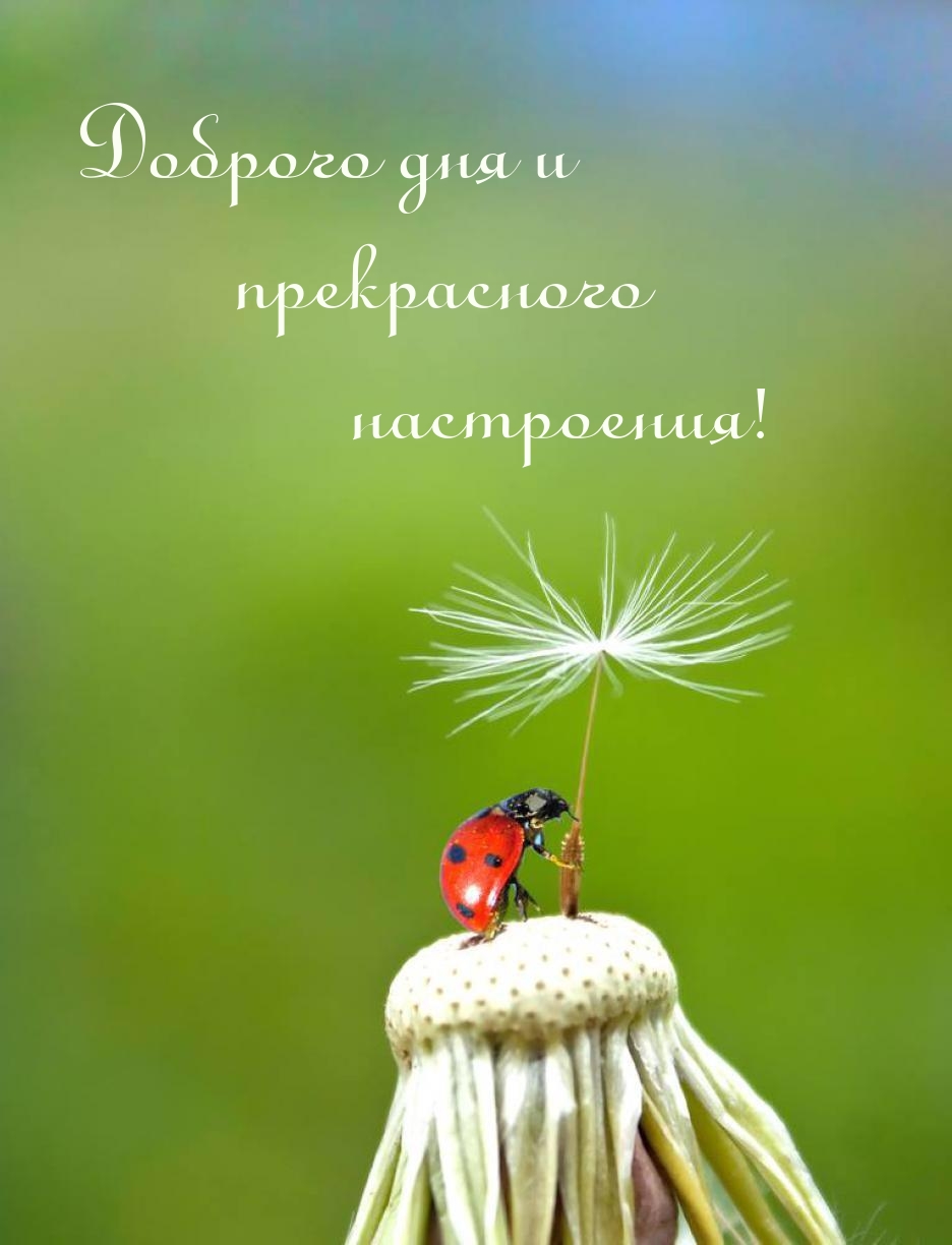 Доброго дня и прекрасного настроения!