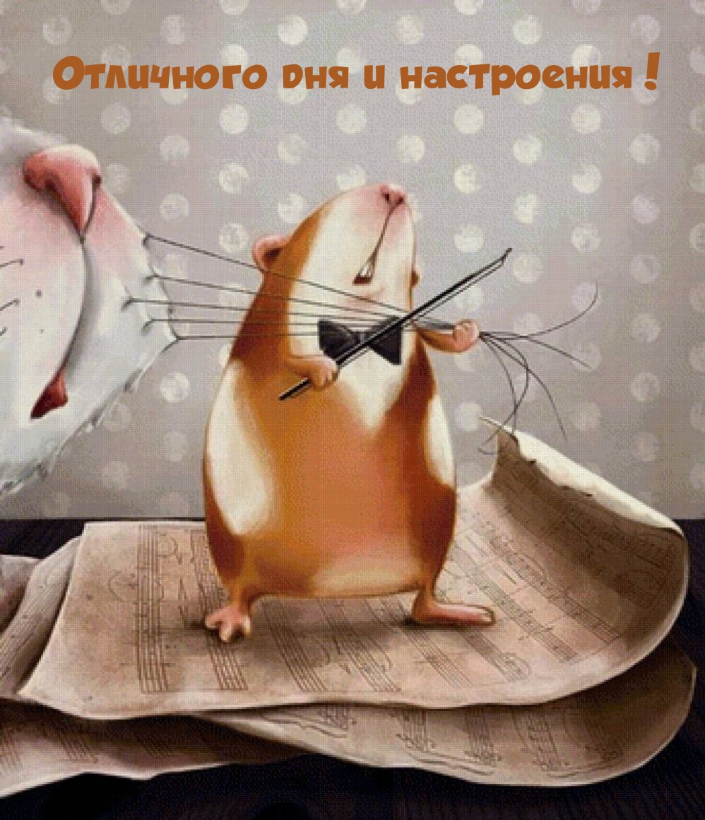 Отличного дня и настроения!