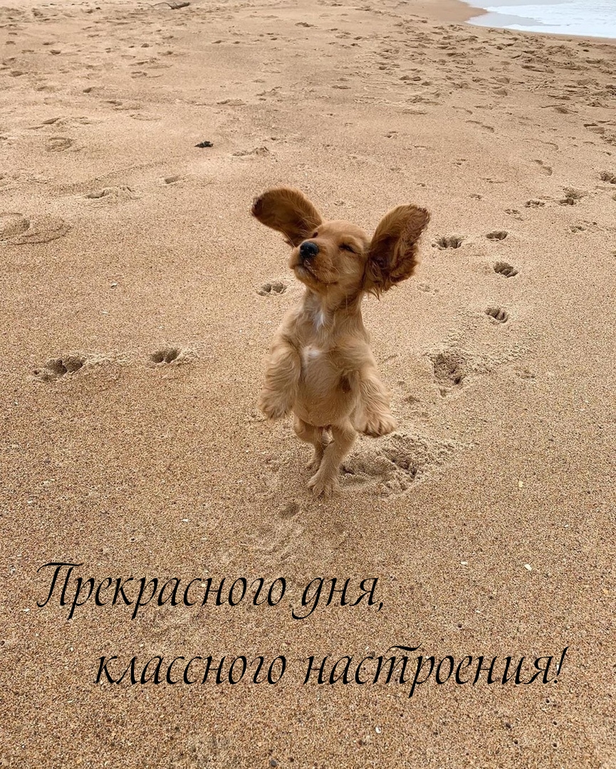 Прекрасного дня, классного настроения!