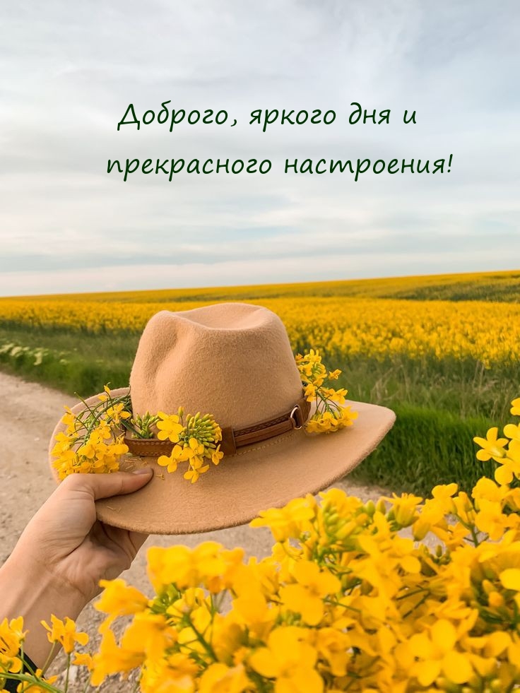 Доброго, яркого дня и прекрасного настроения!