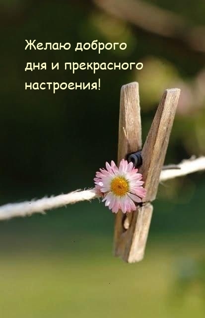 Желаю доброго дня и прекрасного настроения!