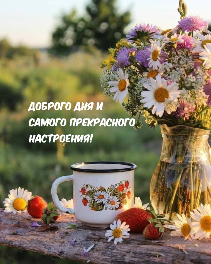 Доброго дня и самого прекрасного настроения!