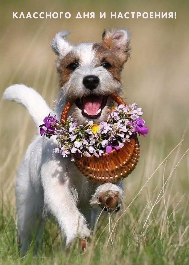 Классного дня и настроения!