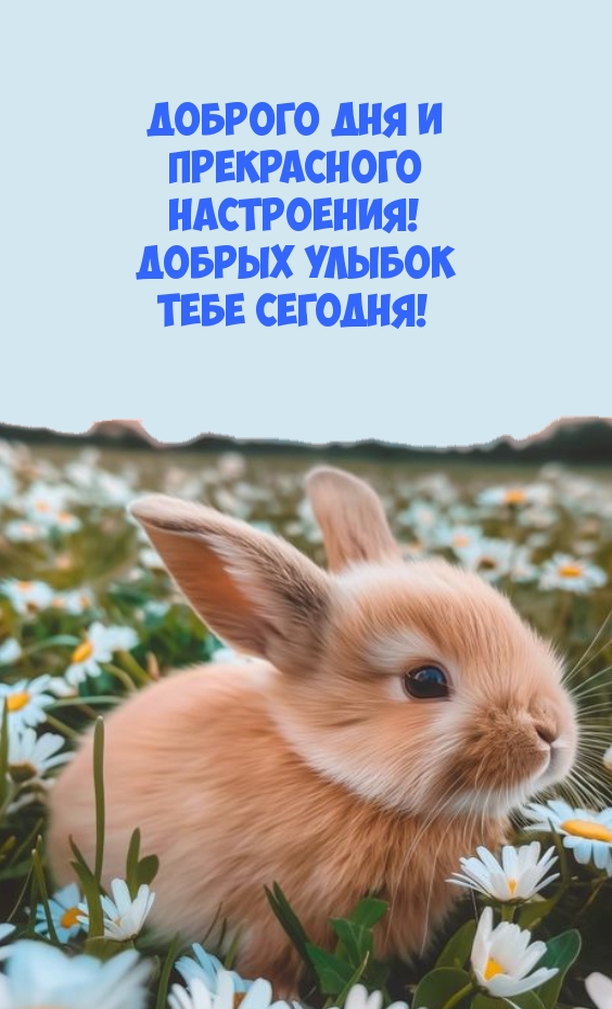 Доброго дня и прекрасного настроения! Добрых улыбок тебе сегодня!