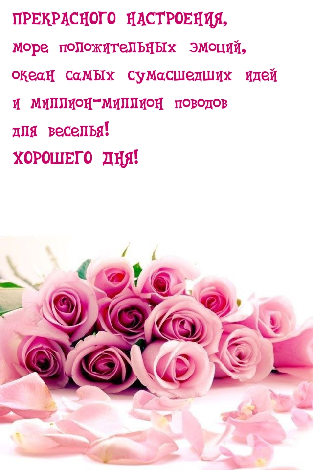 Хорошего дня! Прекрасного настроения, море положительных эмоций