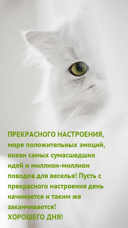 Прекрасного настроения, море положительных эмоций