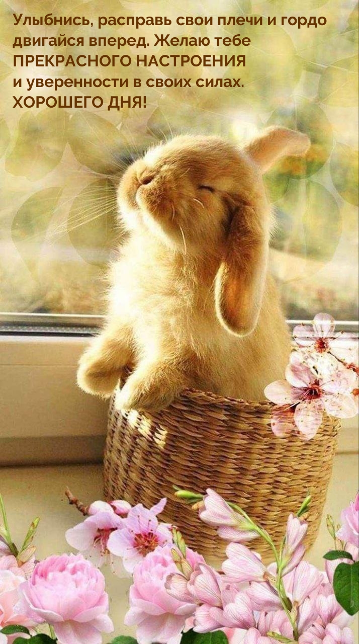 Желаю тебе  прекрасного настроения и уверенности в своих силах.
