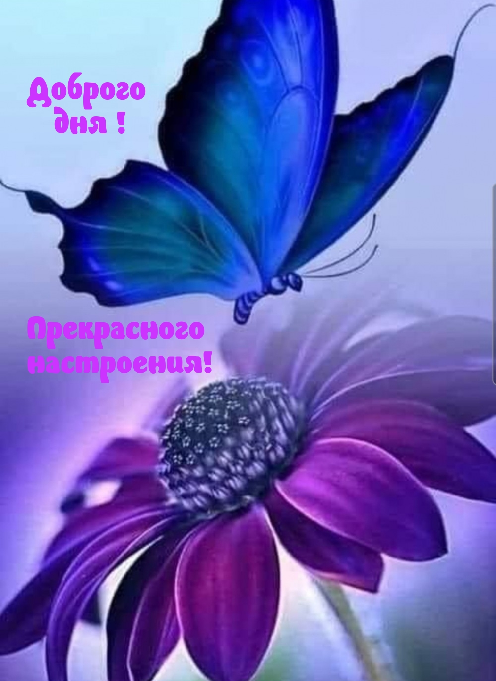 Доброго дня! Прекрасного настроения!