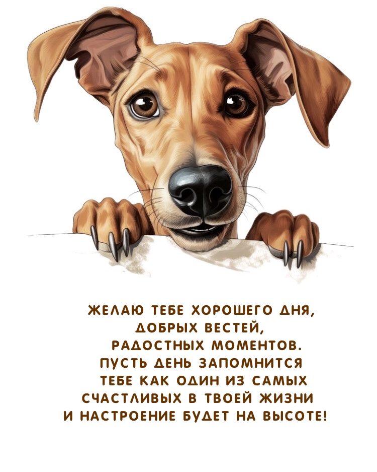 Желаю хорошего дня, добрых вестей, радостных моментов.