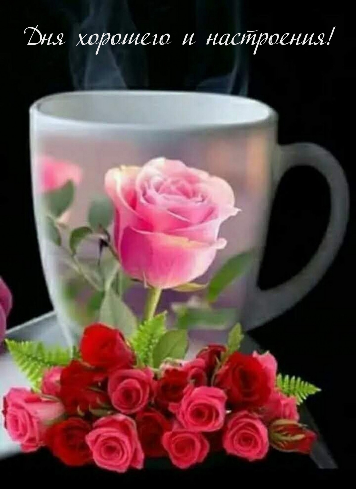 Дня хорошего и настроения!