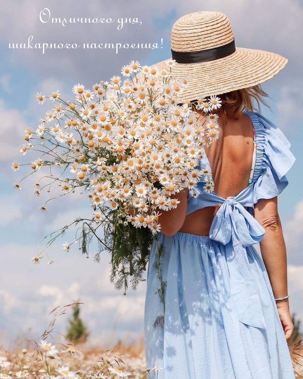 Отличного дня, шикарного настроения!