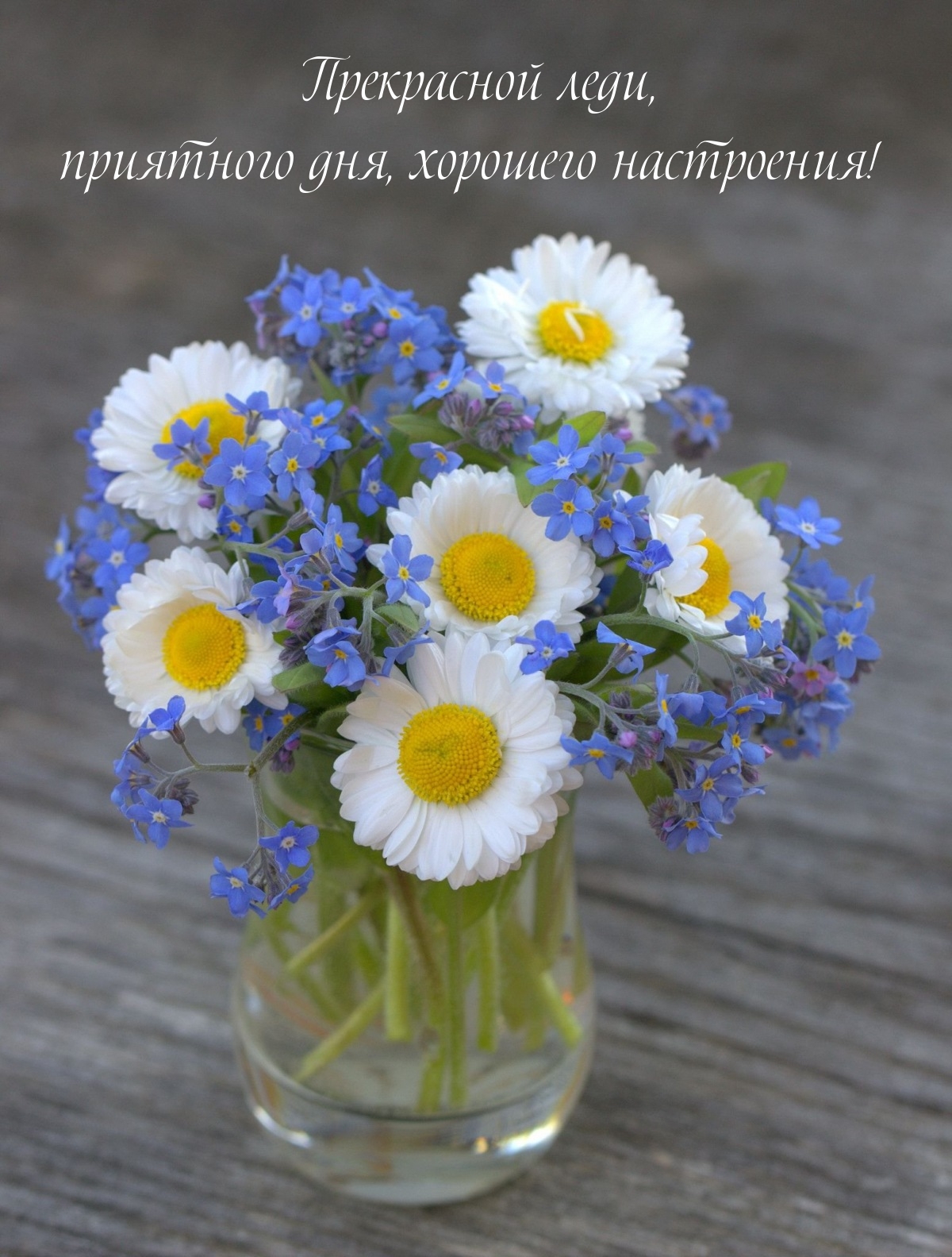 Прекрасной леди, приятного дня, хорошего настроения!