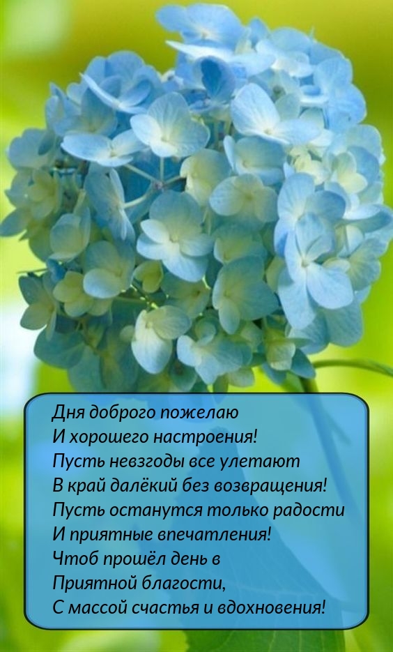 Дня доброго пожелаю и хорошего настроения!