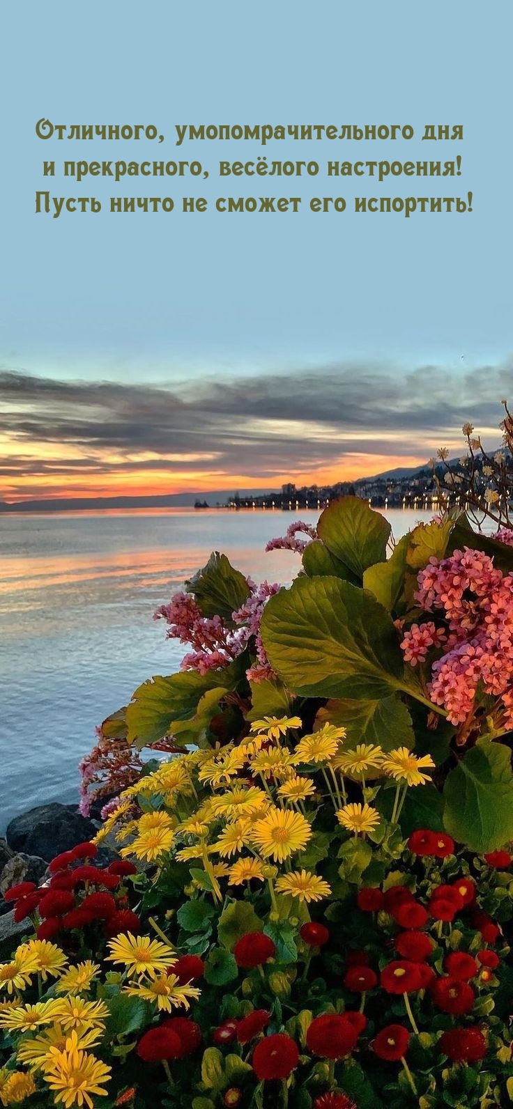 Отличного дня и прекрасного, весёлого настроения!
