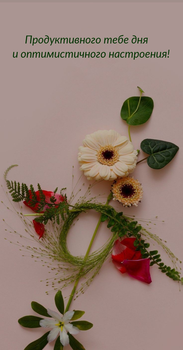 Продуктивного тебе дня и оптимистичного настроения!