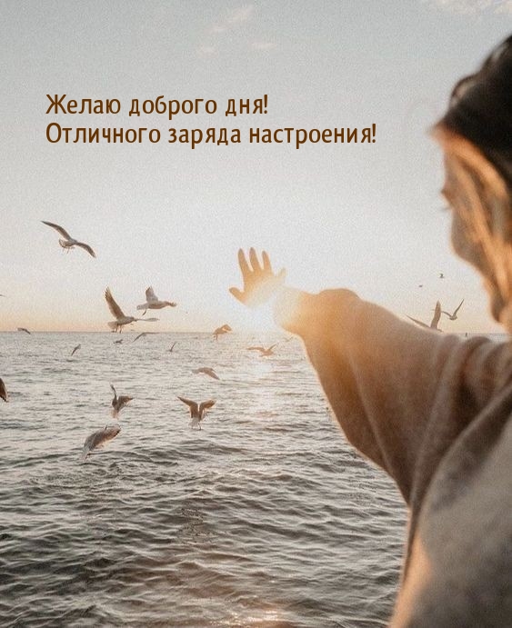 Желаю доброго дня! Отличного заряда настроения!