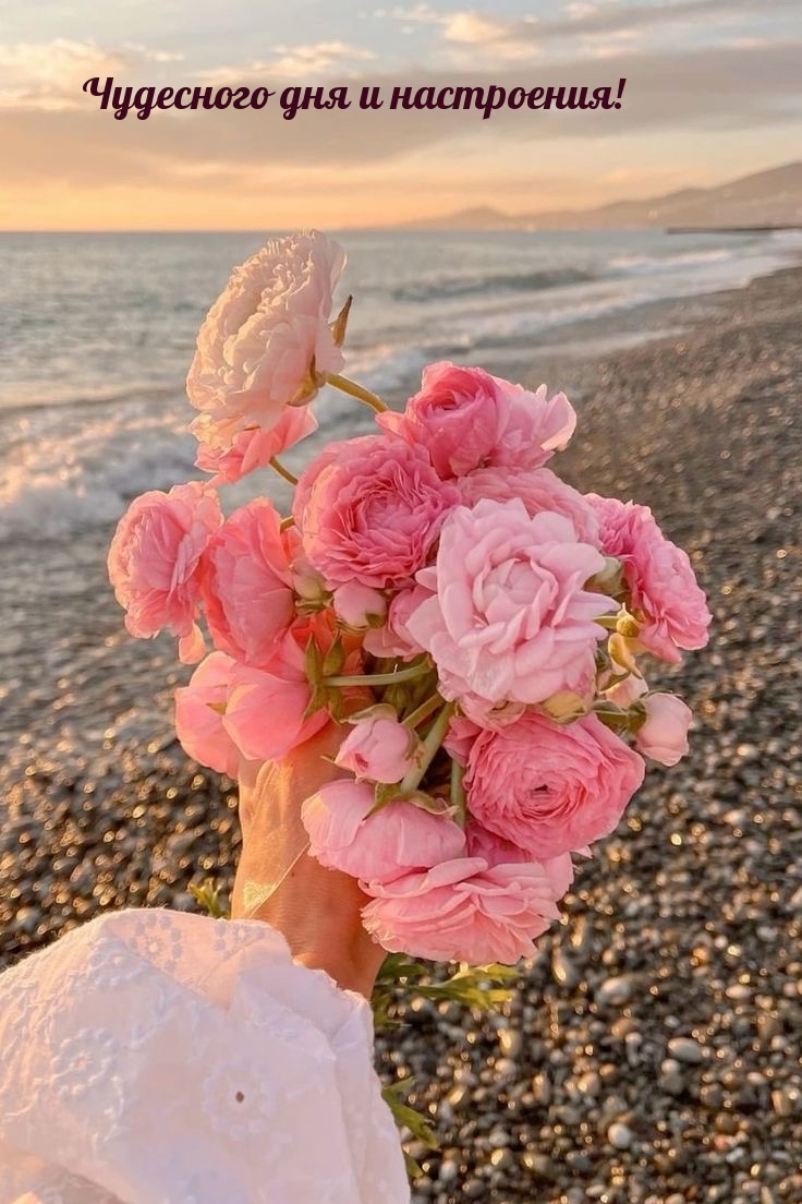 Чудесного дня и настроения!