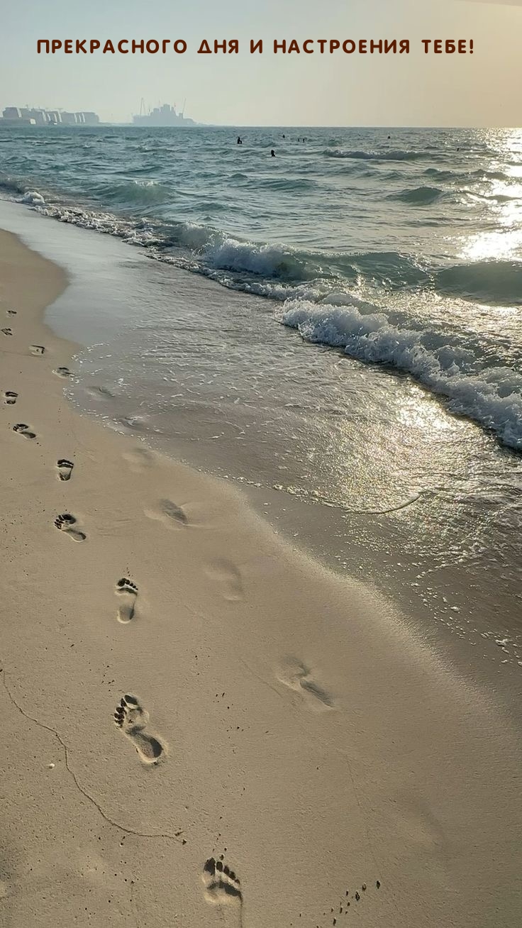 Прекрасного дня и настроения тебе!