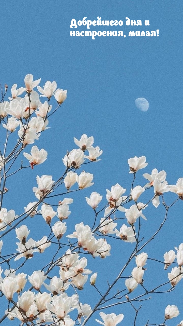 Добрейшего дня и настроения, милая!
