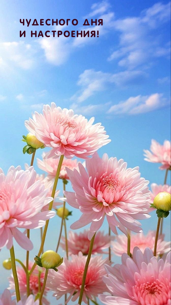 Чудесного дня и настроения!