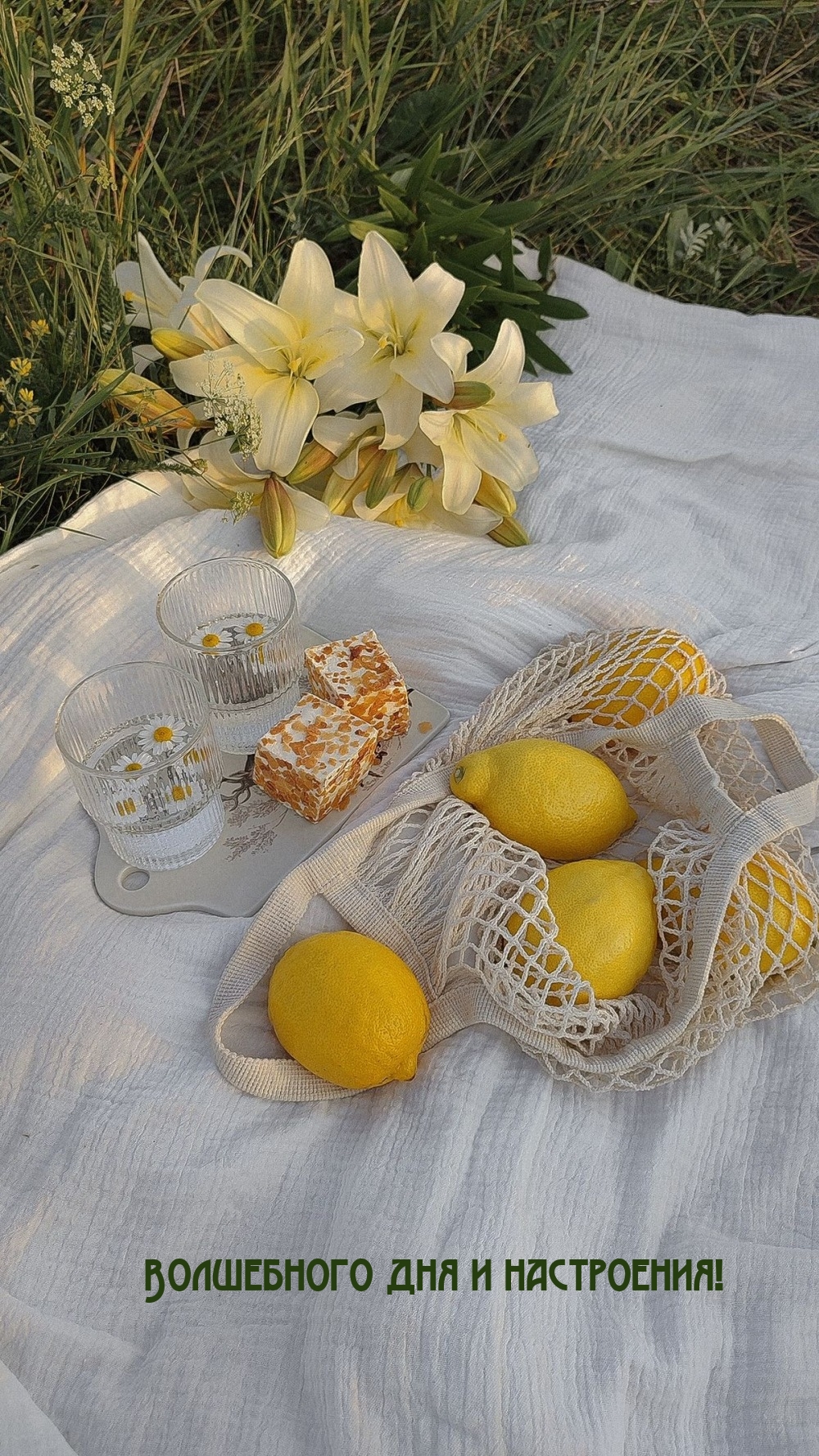 Волшебного дня и настроения!