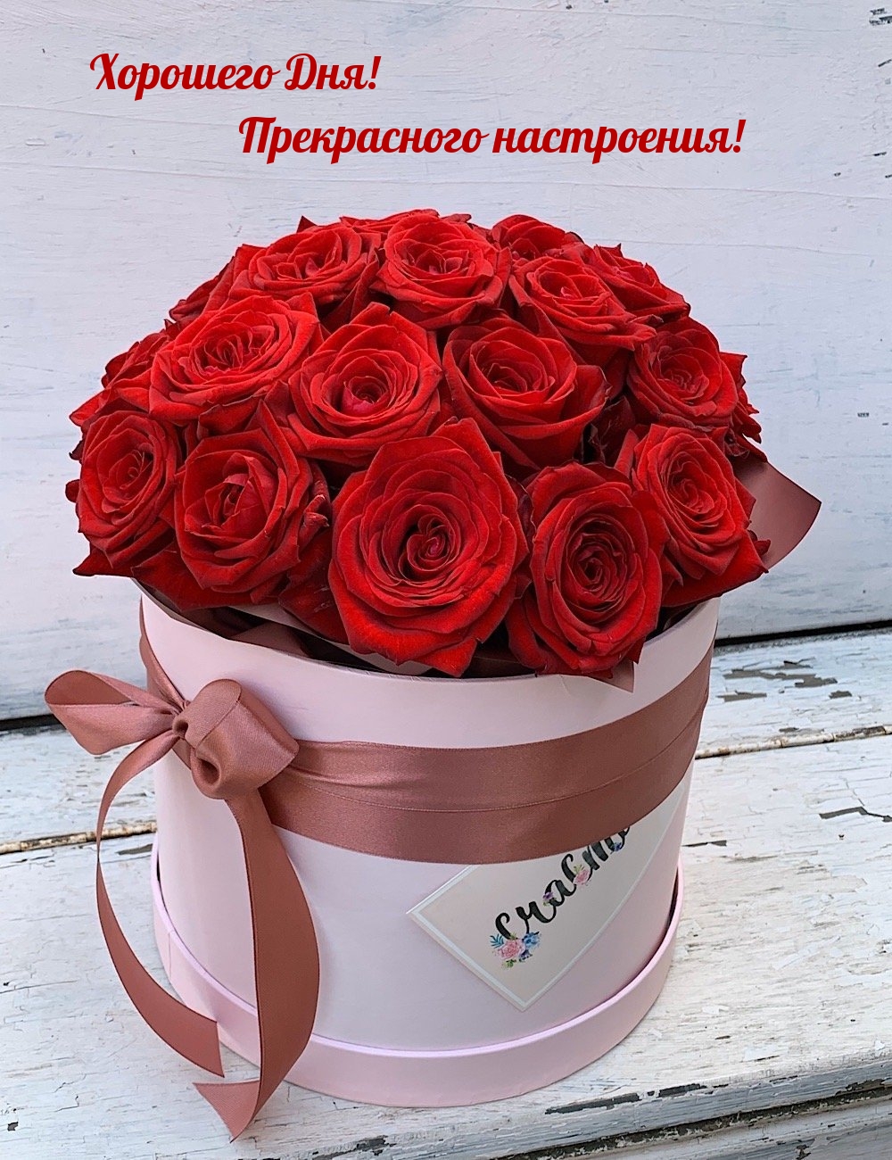 Хорошего Дня! Прекрасного настроения!