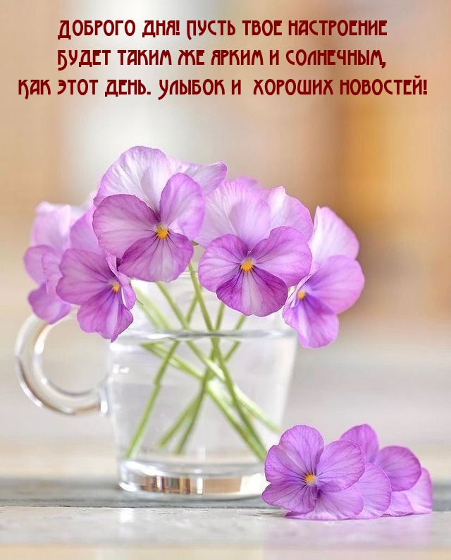  Пусть твое настроение будет таким же ярким и солнечным,