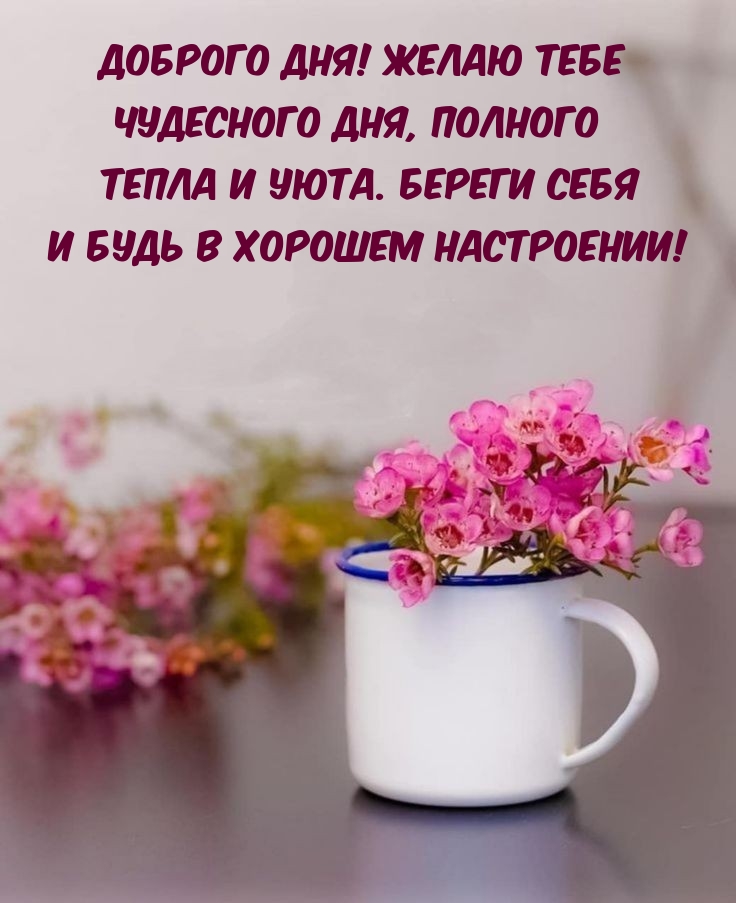 Доброго дня! Желаю тебе чудесного дня, полного тепла и уюта