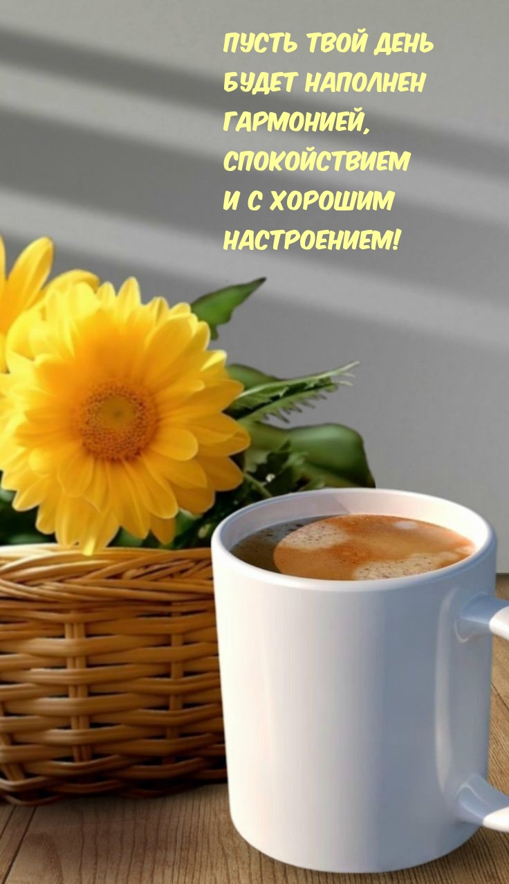 Пусть день будет наполнен гармонией и хорошим настроением!