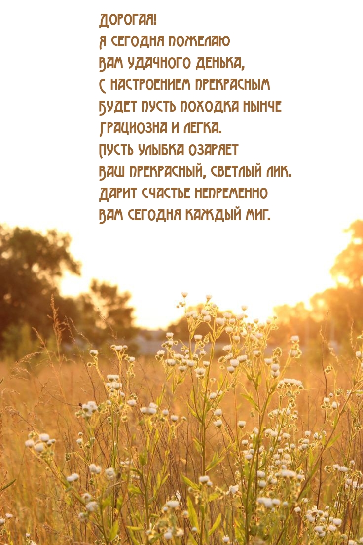 Дорогая! Я сегодня пожелаю вам удачного денька