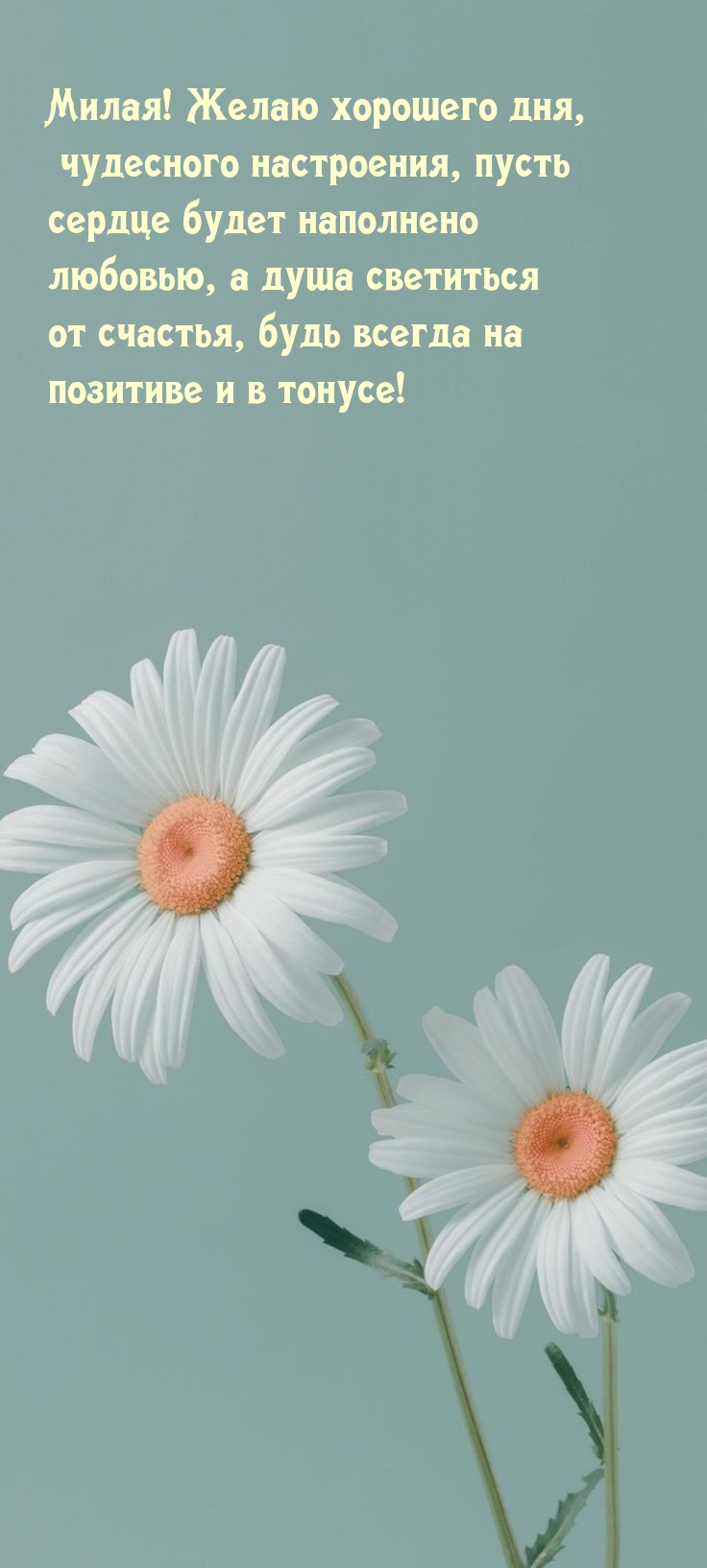 Милая! Желаю хорошего дня, чудесного настроения