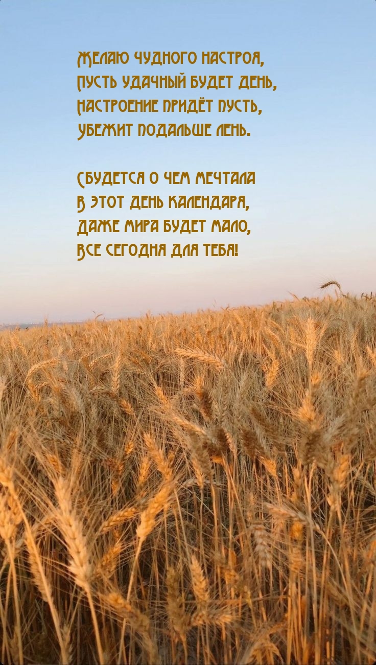 Желаю чудного настроя, пусть удачный будет день
