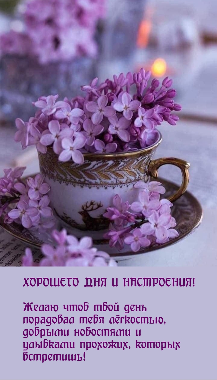 Хорошего дня и настроения! Желаю чтоб твой день порадовал лёгкостью