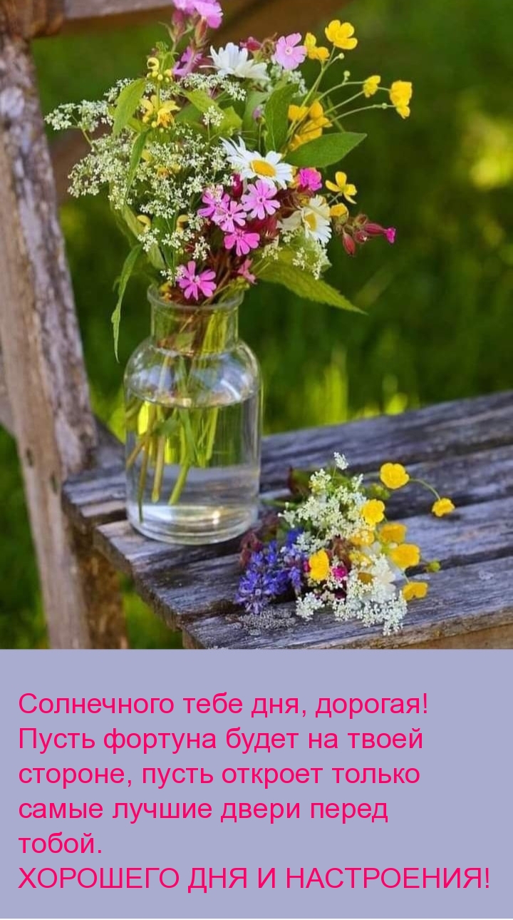 Хорошего дня и настроения! Солнечного тебе дня, дорогая! 
