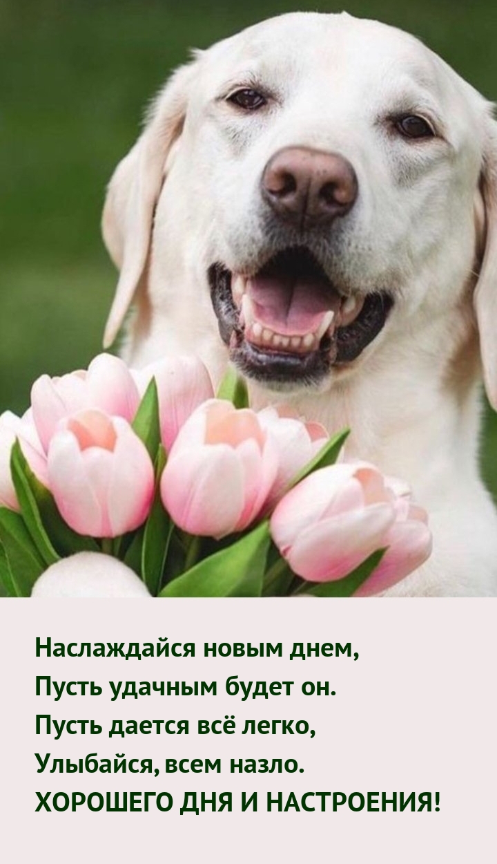 Наслаждайся новым днем, пусть удачным будет он.