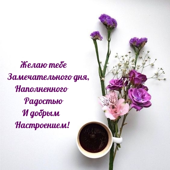 Замечательного дня, наполненного радостью и добрым настроением!