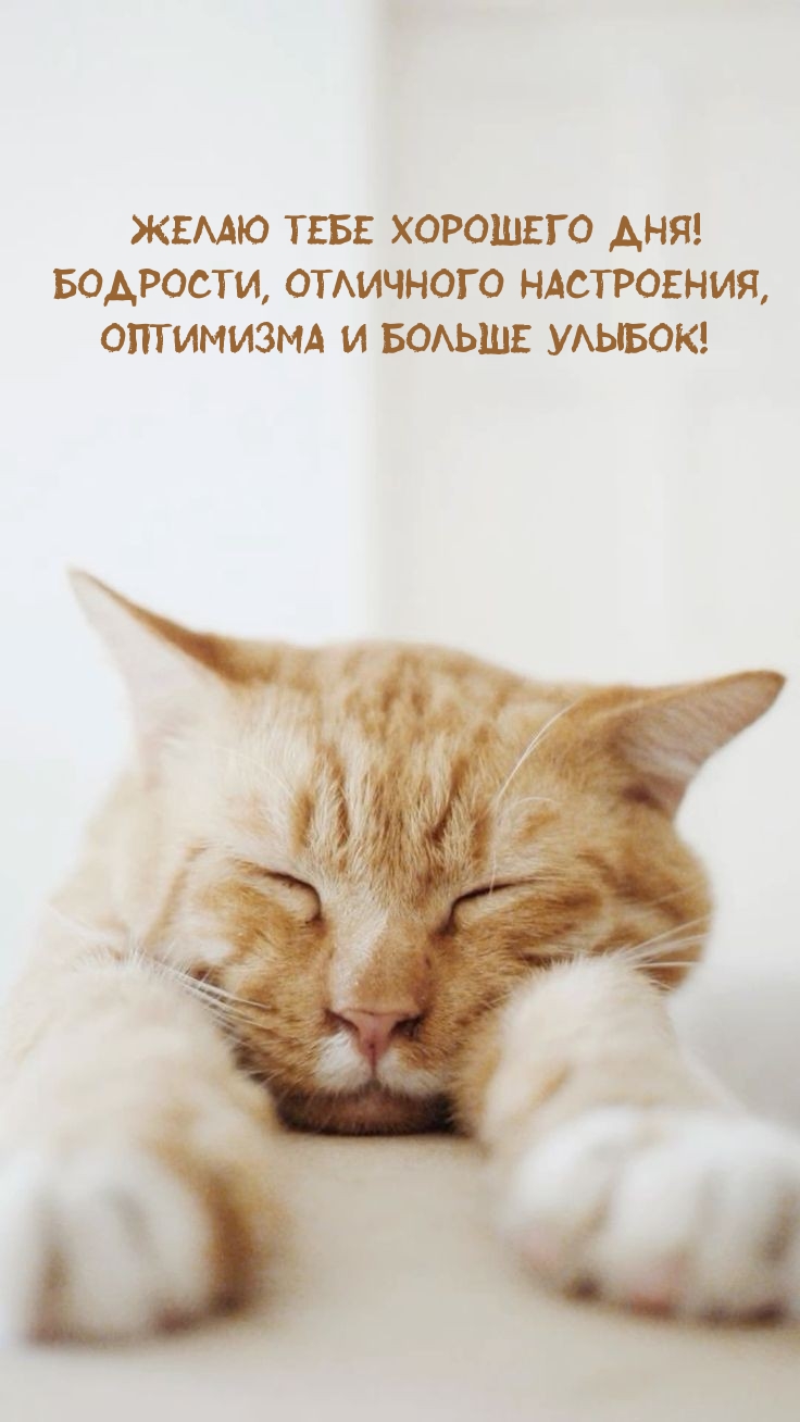 Желаю тебе хорошего дня! Бодрости, отличного настроения