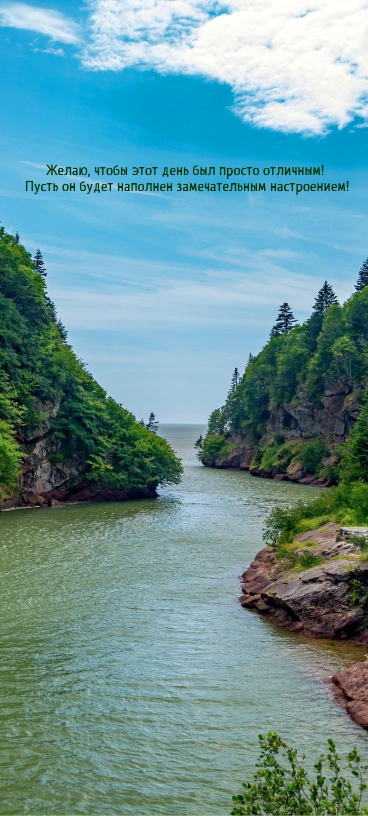 Желаю, чтобы этот день был просто отличным!
