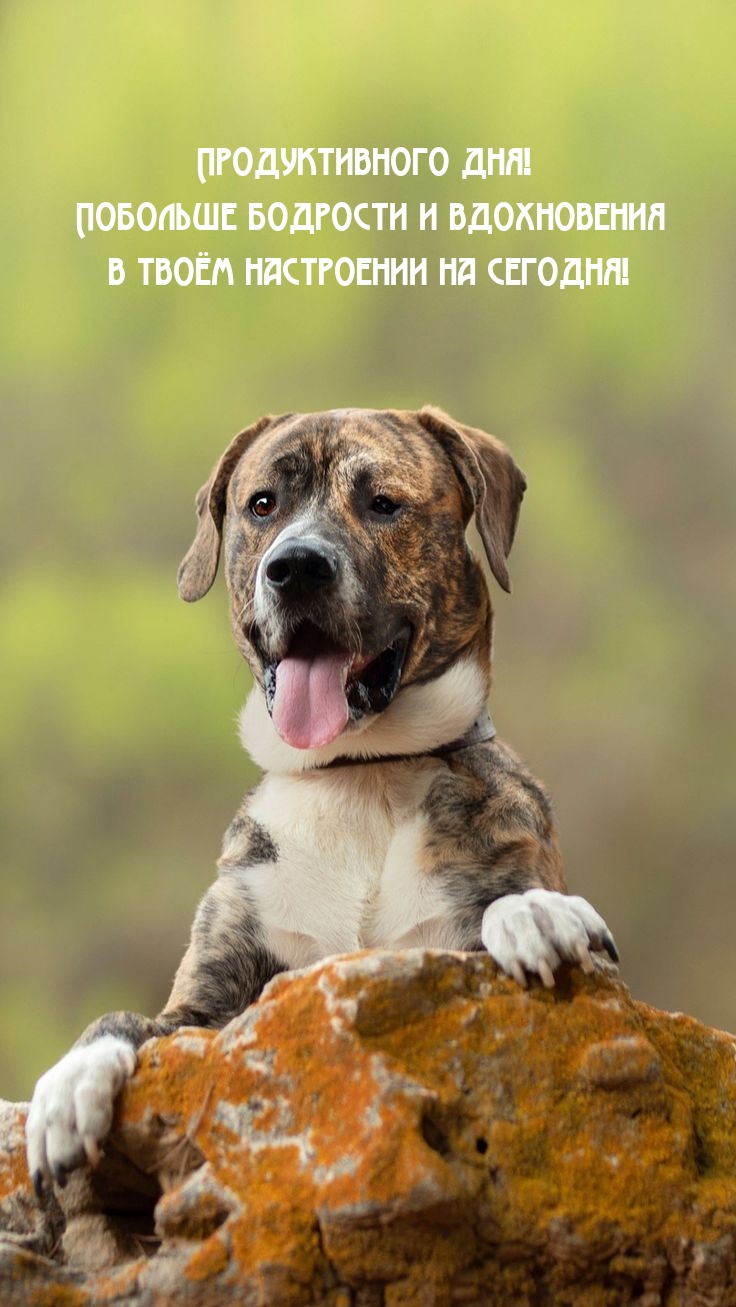 Продуктивного дня! Побольше бодрости и вдохновения