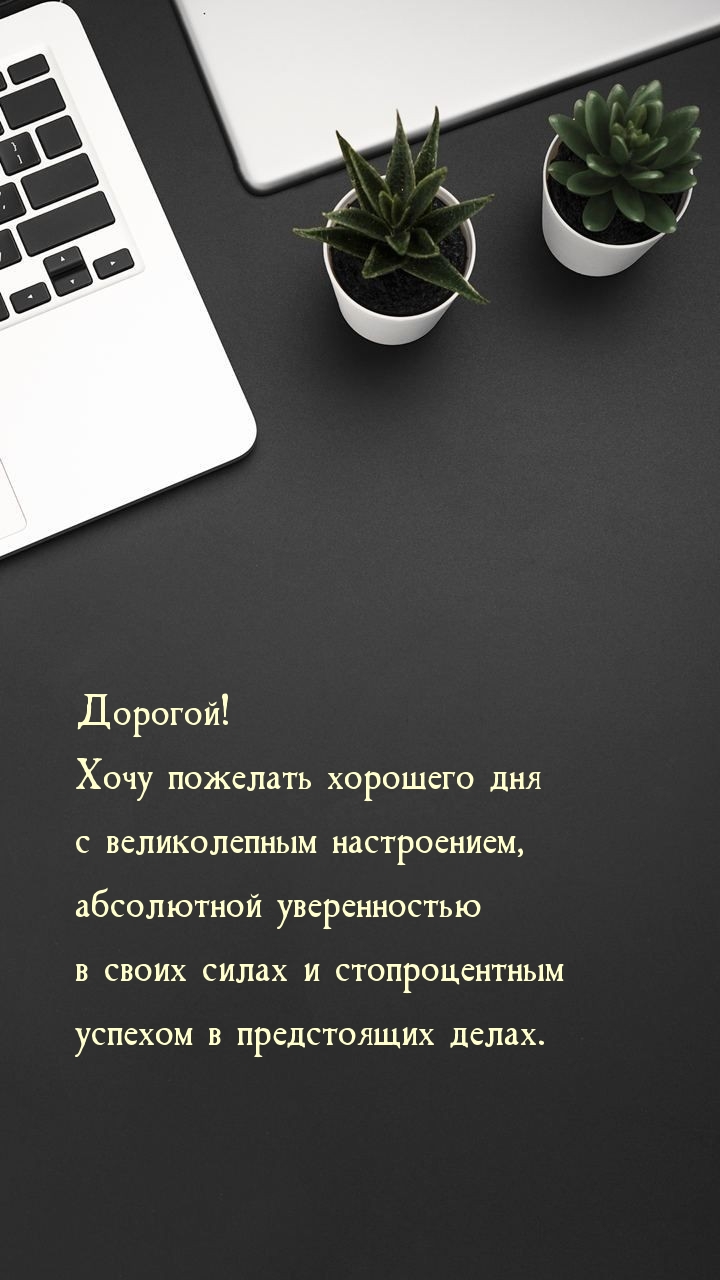 Дорогой! Хочу пожелать хорошего дня с великолепным настроением