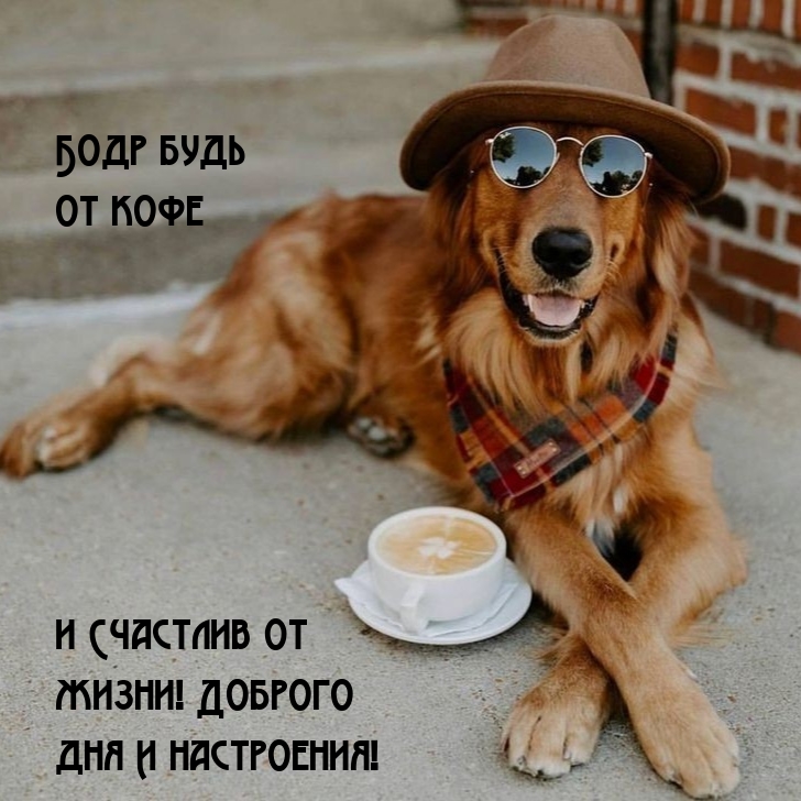 Бодр будь от кофе и счастлив от жизни! Доброго дня и настроения!
