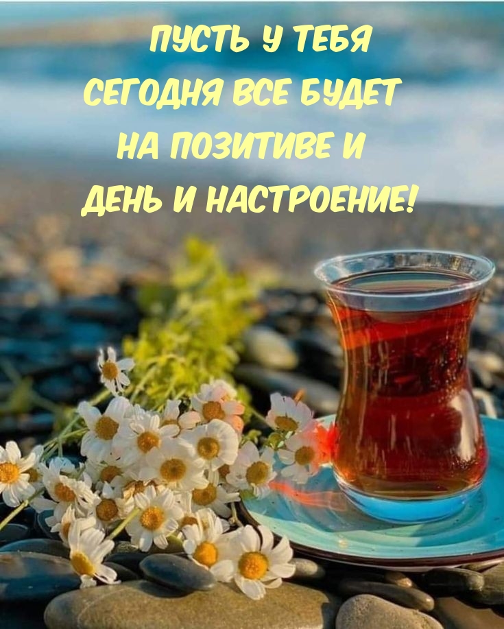 Пусть у тебя сегодня все будет на позитиве и день и настроение!