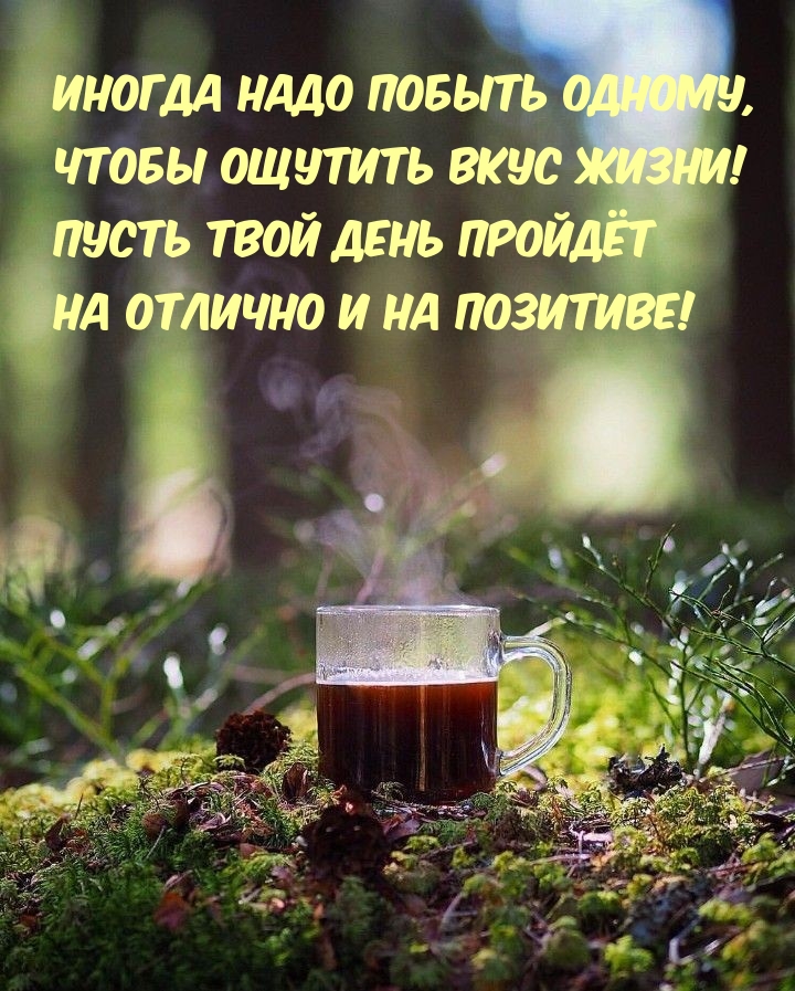 Иногда надо побыть одному, чтобы ощутить вкус жизни!