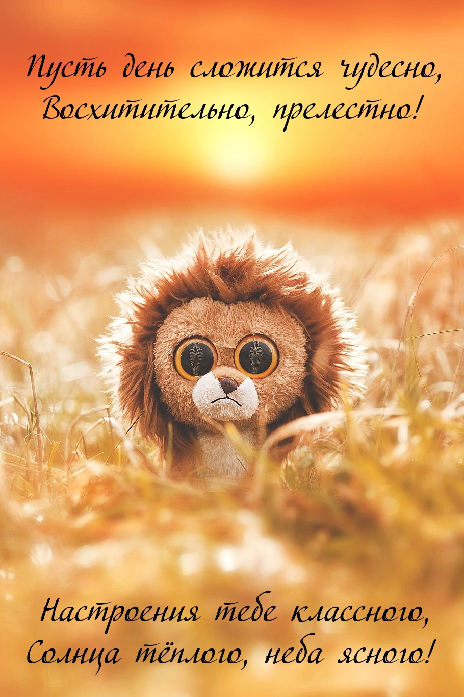Пусть день сложится чудесно, восхитительно, прелестно!