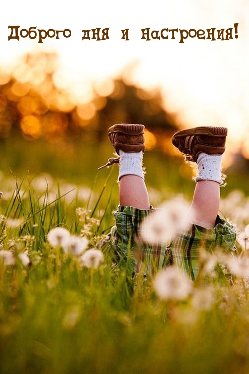 Доброго дня и настроения!
