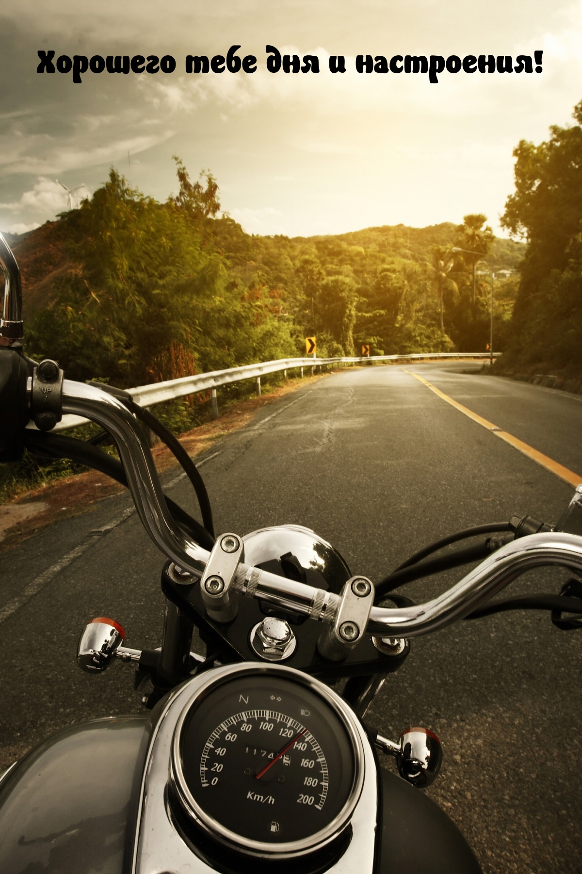 Хорошего тебе дня и настроения!